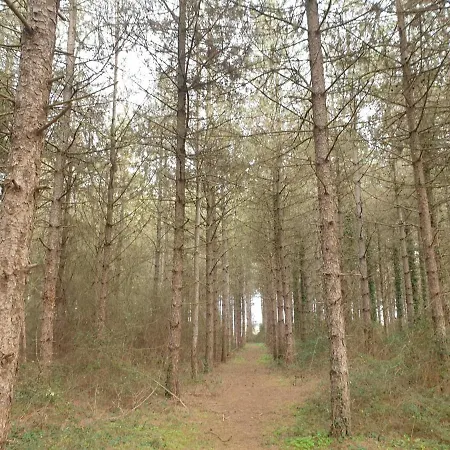 La Maison Poitevine Сasa de vacaciones Chauvigny