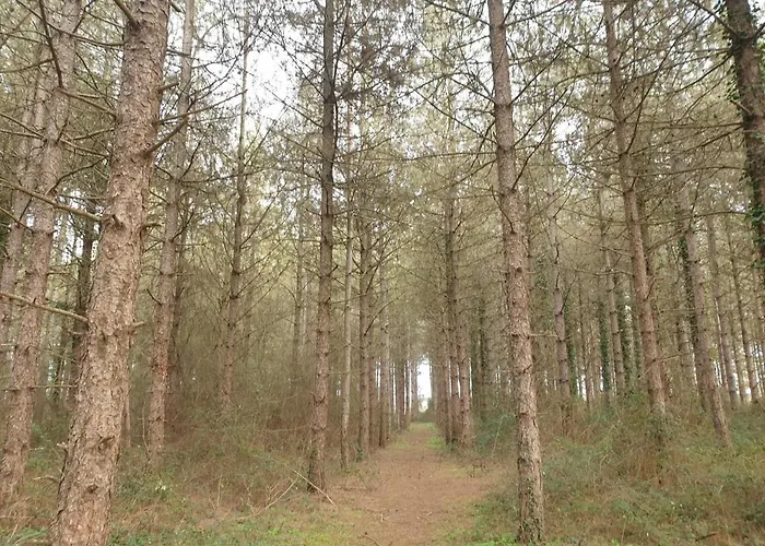 La Maison Poitevine Сasa de vacaciones Chauvigny